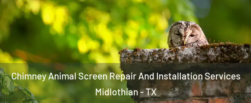  Chimney Animal Screen Repair And Installation Services Midlothian - TX