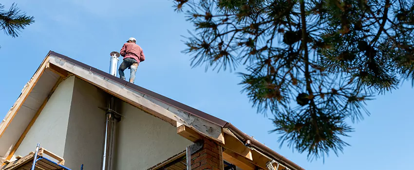 Birds Removal Contractors from Chimney in Midlothian, TX
