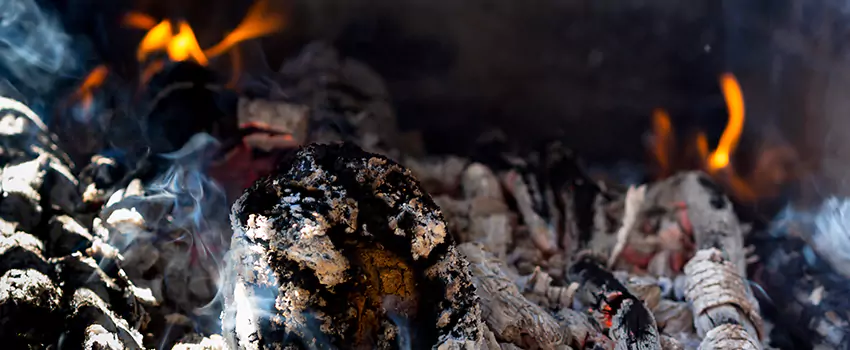 Creosote Removal Experts in Midlothian, TX